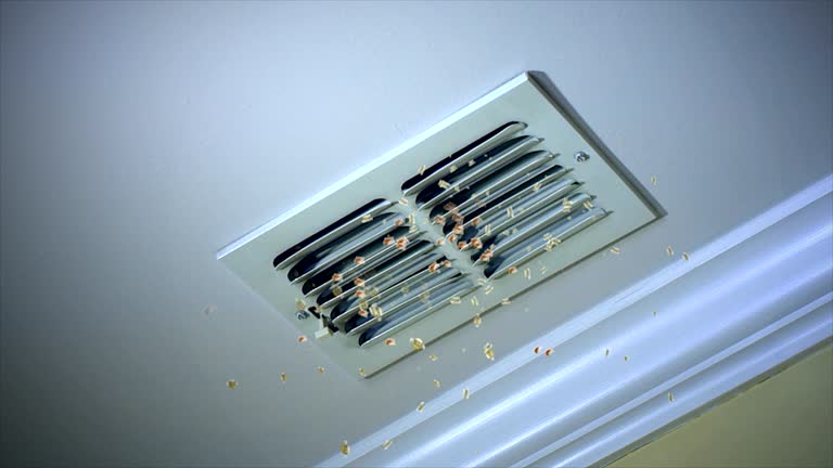 Best Affordable HVAC Duct Cleaning  in Cambridge, IL