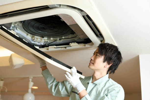 Best Air Duct Sanitizing Services  in Cambridge, IL